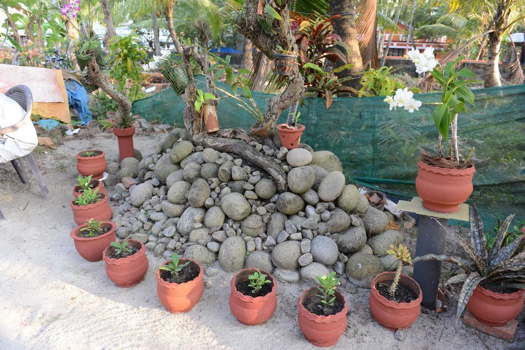 Royal Beach Abode Kochi Exterior photo